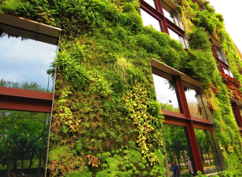 Green architecture 