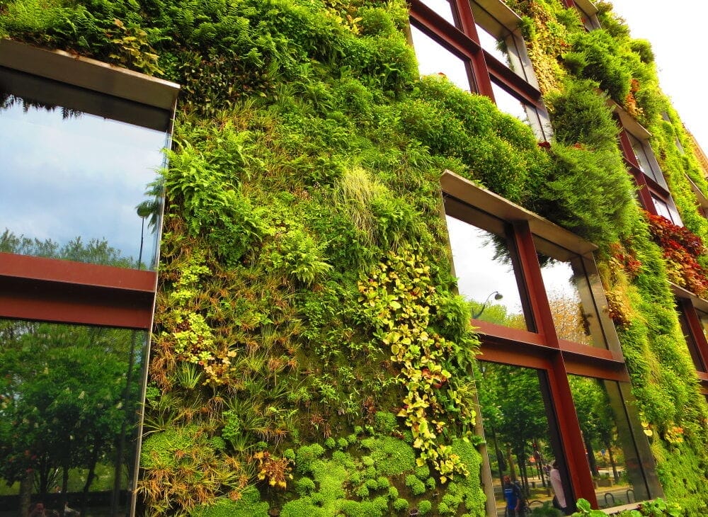 Green architecture