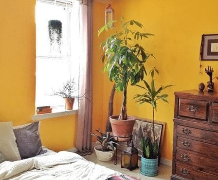 Bedroom Wall Colors for Indian Homes