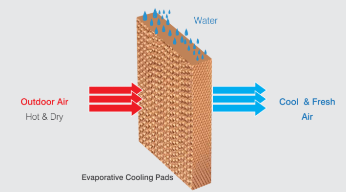 Cooling Brick