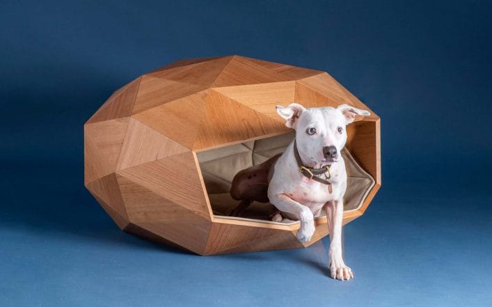 Dog Kennel by Foster+partners