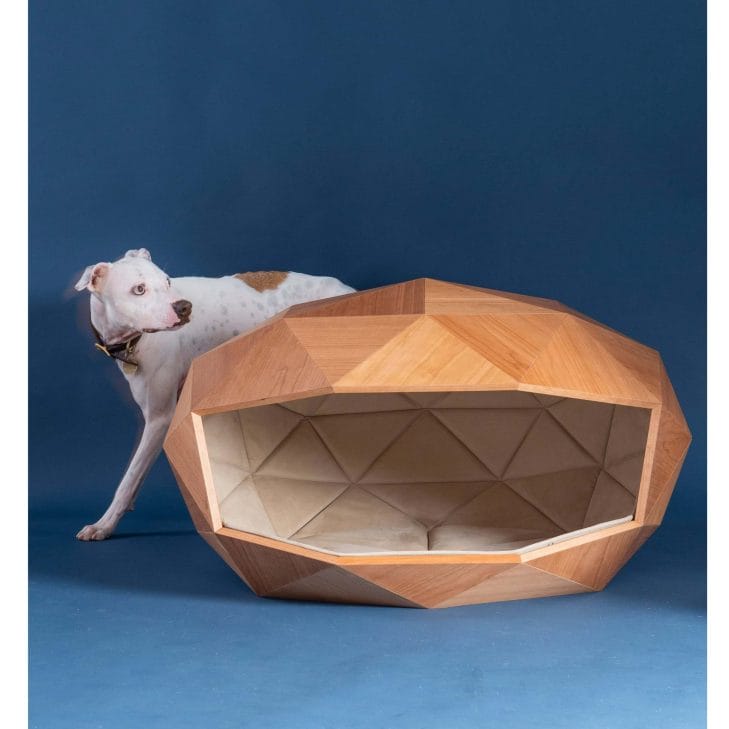 Dog Kennel by Foster+partners