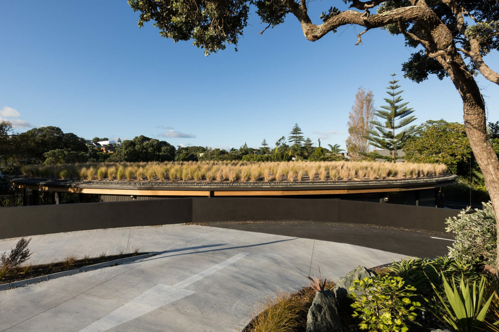 Kakapo Creek Children’s Garden, Mairangi Bay