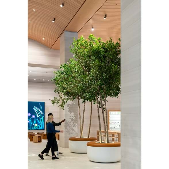 Apple’s London Store conceptualized by Foster + Partners is concoction of concepts