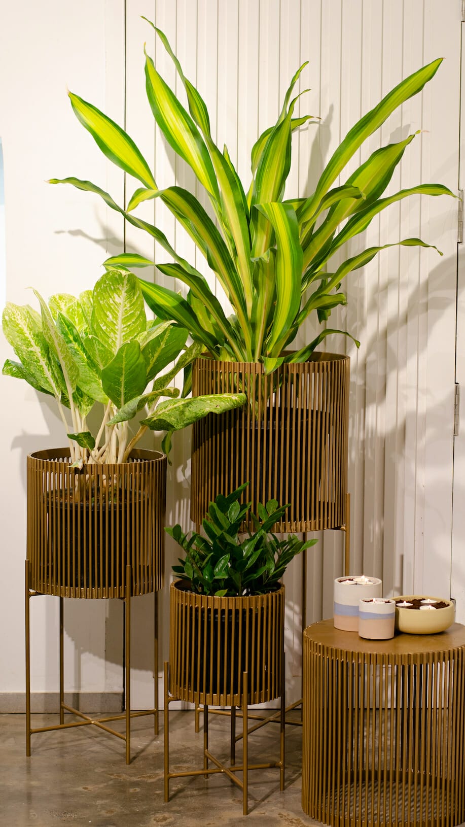 Studio Palasa by sibling duo Prinston and Preine unleashes the new realms of planters