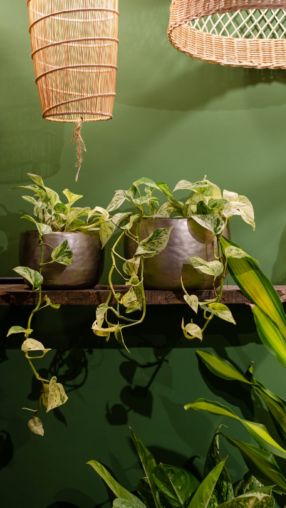 Studio Palasa by sibling duo Prinston and Preine unleashes the new realms of planters 8 Studio Palasa by sibling duo Prinston and Preine unleashes the new realms of planters