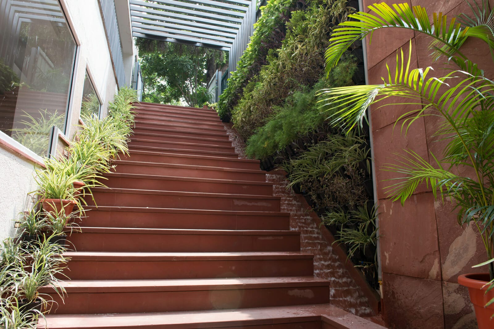 Vertical Gardens