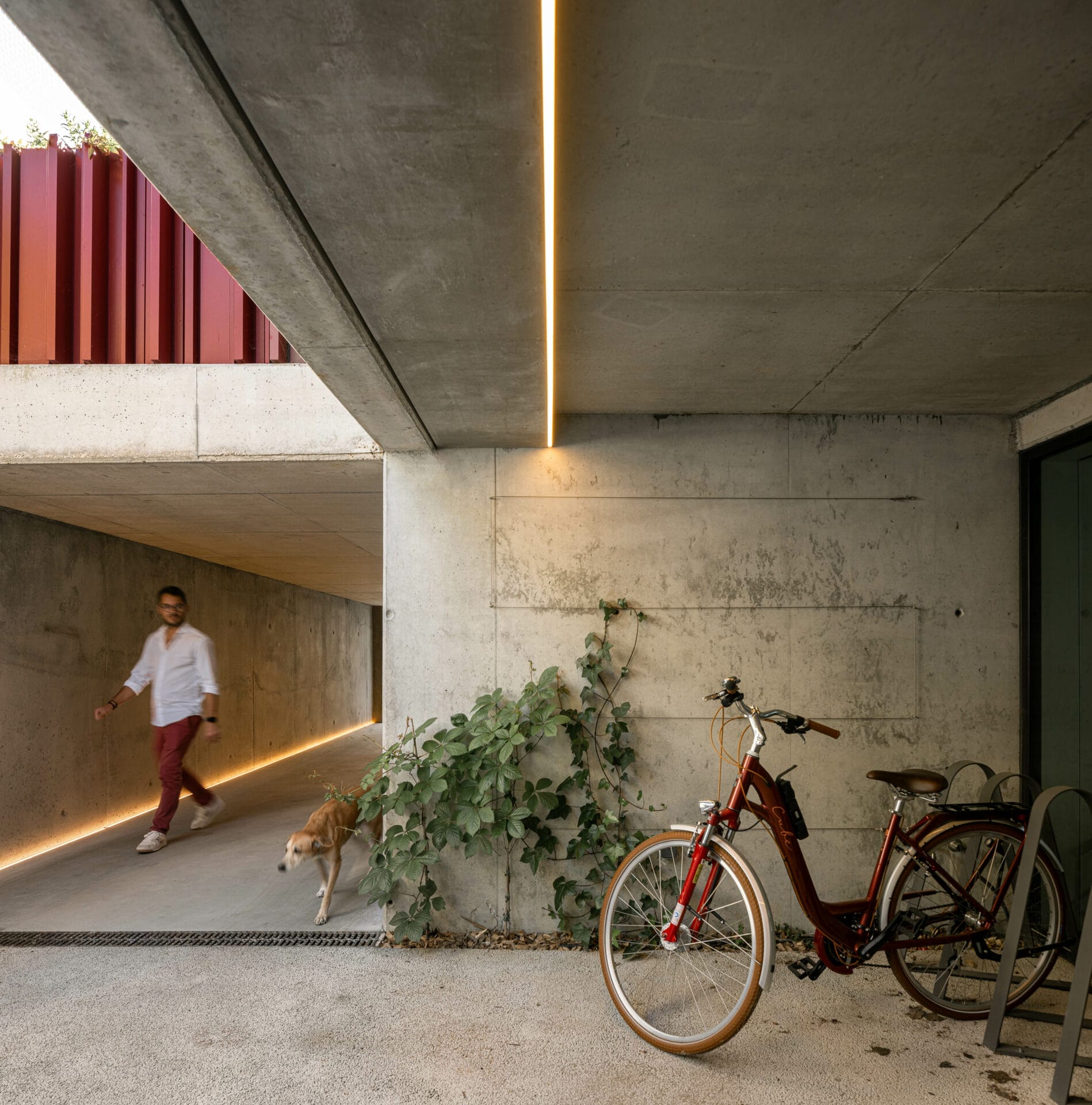 Carving Memories into Stone: The Park House by Paulo Martins 8 The Park House by Paulo Martins