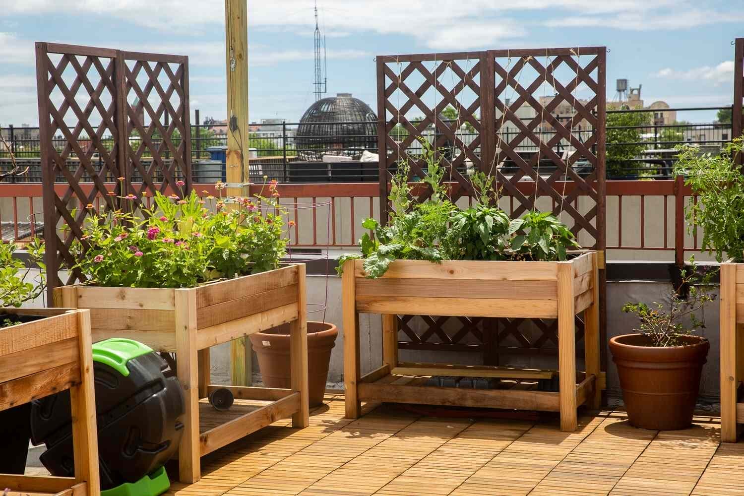 18 Creative Terrace Garden Ideas for Urban Homes 2 Terrace Garden Ideas