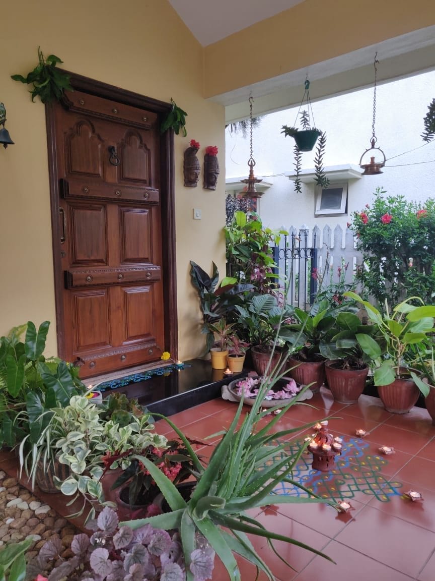 How to Use Indoor Plants to Decorate Your Indian Home 10 How to Use Indoor Plants to Decorate Your Indian Home 10