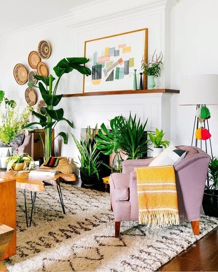 How to Use Indoor Plants to Decorate Your Indian Home 5 How to Use Indoor Plants to Decorate Your Indian Home 5