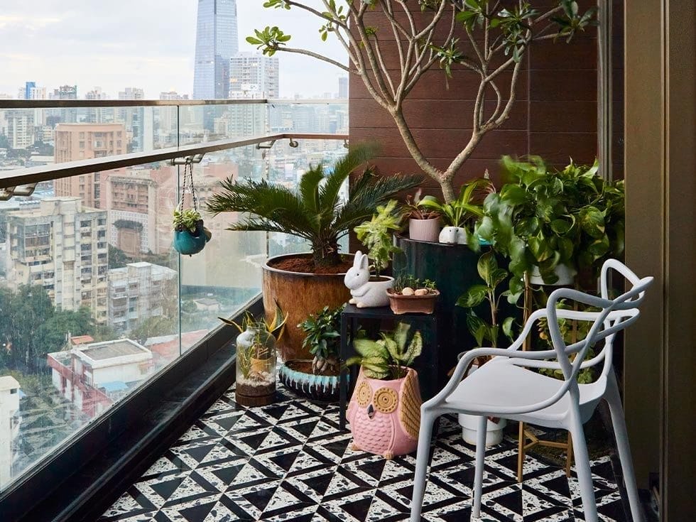 How to Use Indoor Plants to Decorate Your Indian Home 9 How to Use Indoor Plants to Decorate Your Indian Home 9
