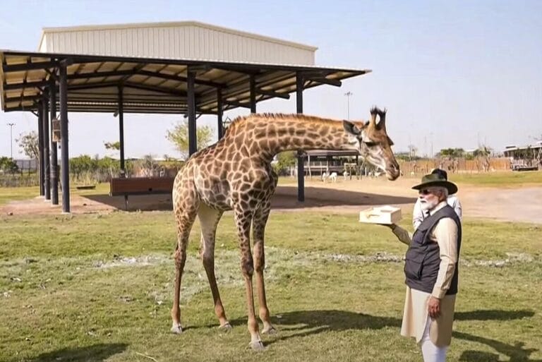 Vantara, Animal Rehabilitation Centre