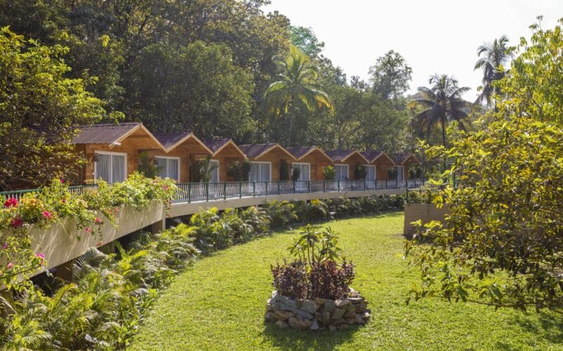 Stone-Wood-Jungle-Resort-Where-Luxury-Nature-Converge-in-Dandeli-1